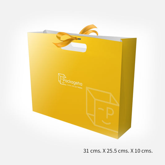 A set of (10) paper bags with ribbon