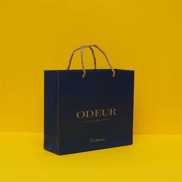 A set of (10) elegant square-shaped paper bags