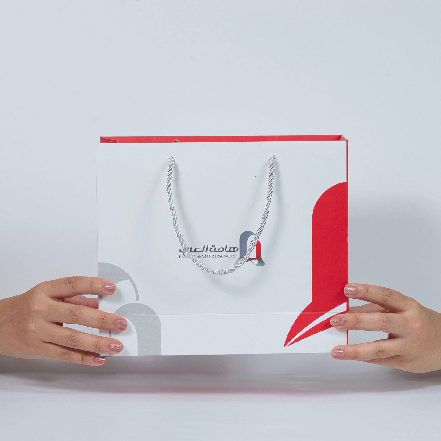 A set of (10) elegant square-shaped paper bags