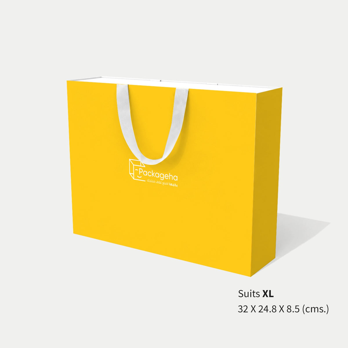 A set of (10) high-end wide paper bags